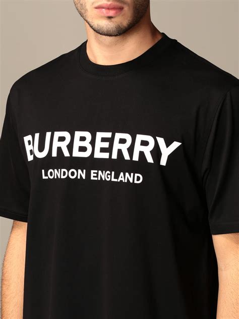 buryberrry t shirt price